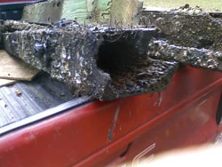 A pulled piling section crusted with barnacles and marine growth in the bed of a truck