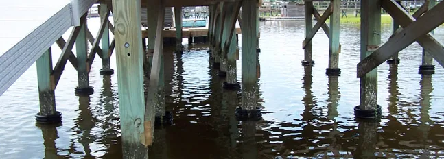 Pile Savers on the pilings beneath a pier with cross bracing above the tide line