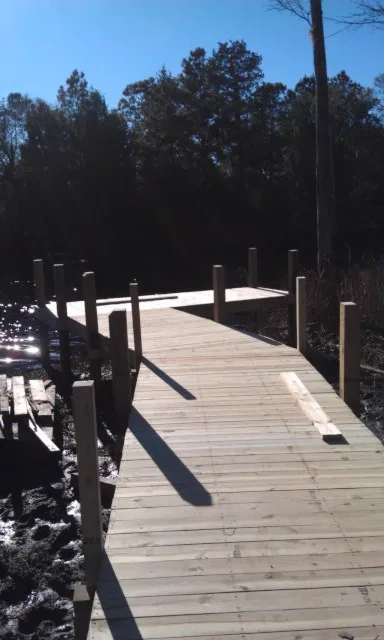 Newly set pilings and decking framing for a dock over a coastal marsh